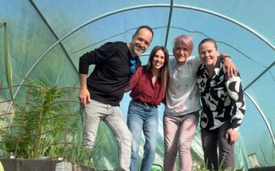 Erasmus+ KA122-SCH – CEP Pintor Sorolla – Elda